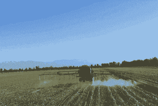 玉米种植后要打药吗