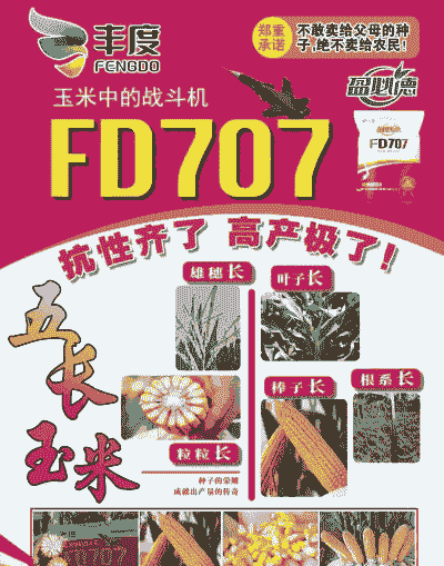 种植玉米种子哪个好