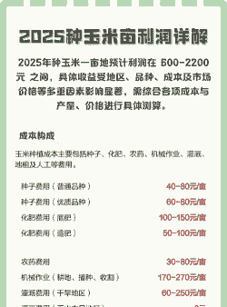 普通玉米种植成本及利润