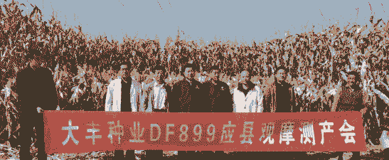 应县玉米种植面积多少亩