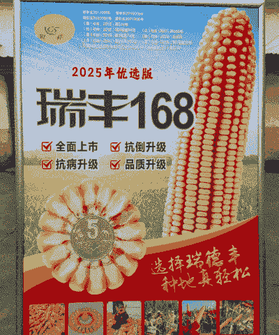 春玉米种植什么品种好