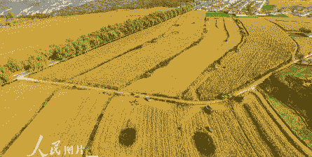 平凉市玉米种植面积