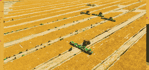 甘肃玉米种植面积多大了