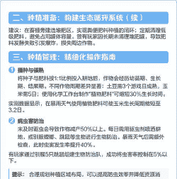 方舟玉米种子怎么种植