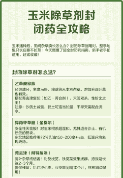 玉米种植怎么打封闭药