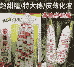 彩色玉米种子种植方法