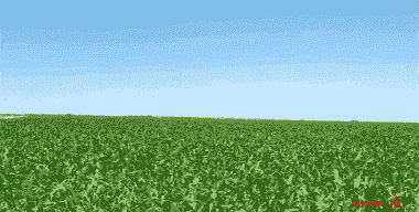 阿勒泰市玉米种植面积