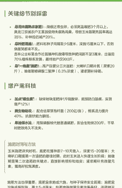 玉米种植下多少底肥合适