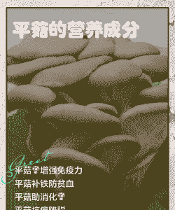 玉米种植平菇的配方