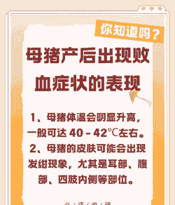 母猪产后出血的治疗方法