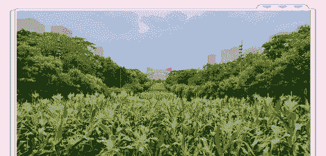 深圳玉米种植地区在哪里