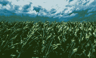 巴西玉米种植区气候特征