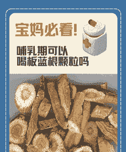 母猪产后可以喝板蓝根吗