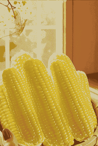 东北黄糯玉米种植技巧