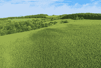 延边州玉米种植面积