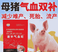 母猪产后贫血的治疗方法