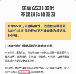 玉米种植存在问题和建议