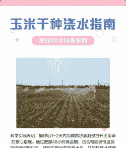 玉米种植后多少天浇水