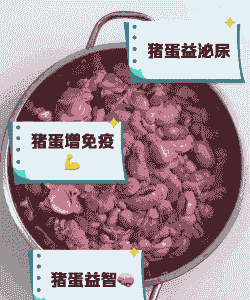 母猪产后吃生鸡蛋行吗