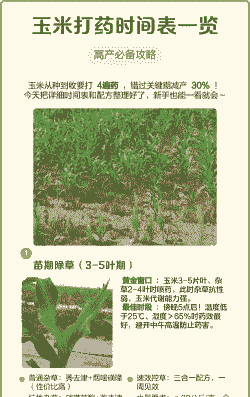 玉米种植几天打药合适呢
