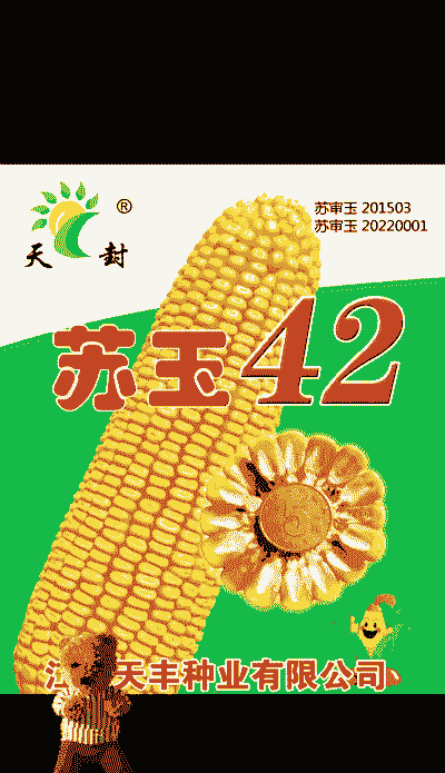 适合淮北种植的玉米种