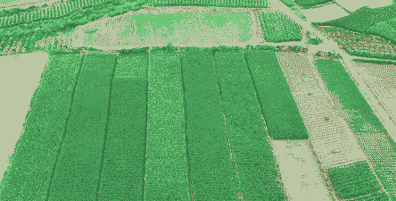 临沧市玉米种植面积