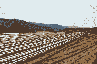 泾川县玉米种植面积