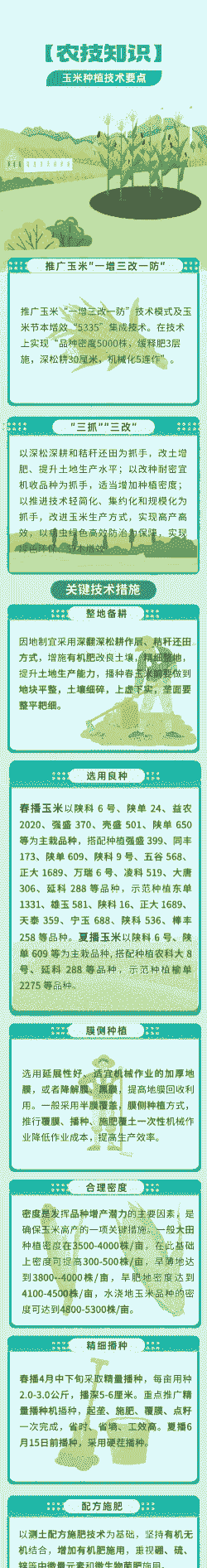 玉米种植亩用种量