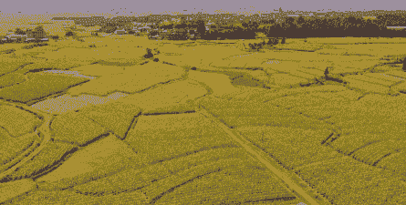 陇川玉米种植面积多大啊