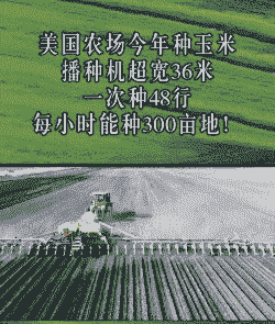 外国玉米种植成本多少