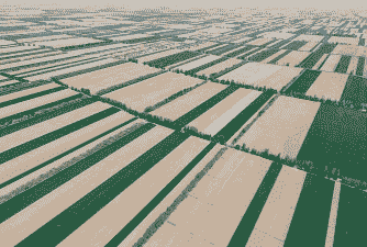 新疆玉米种植集中的地区