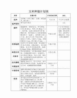 武山玉米种植时间表格