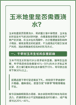 玉米种植需要勤浇水吗