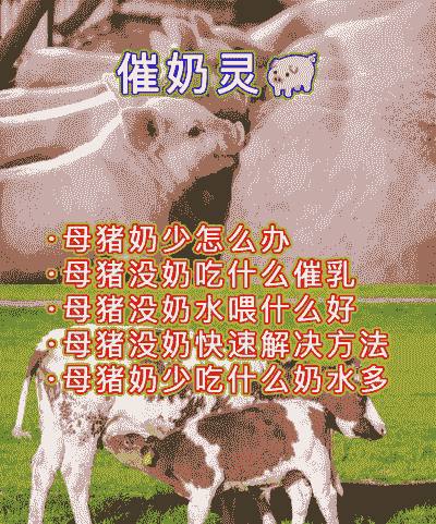 母猪产后奶水多怎么处理