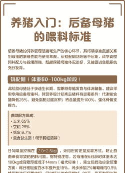 后备母猪产后多少天喂料