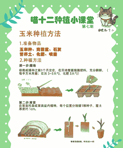 玉米种植过程需要浇水么