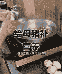 母猪产后喂红糖生鸡蛋