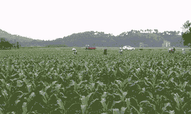 江西玉米种植主要地区