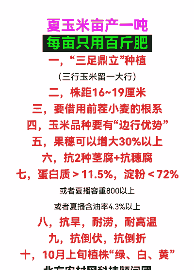 玉米种植每亩用多少肥