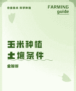 玉米种植土壤有何要求