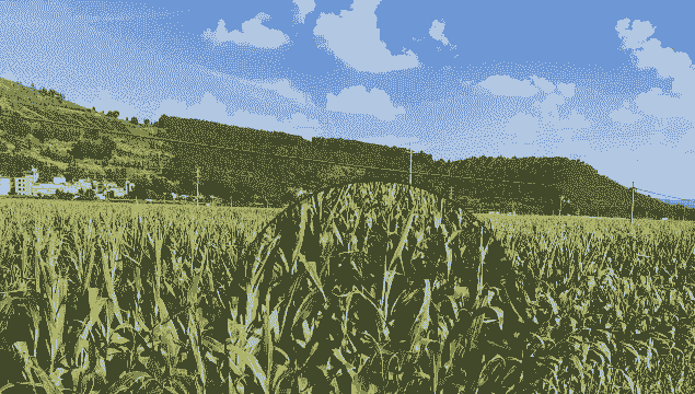 澄江玉米种植乡镇有哪些