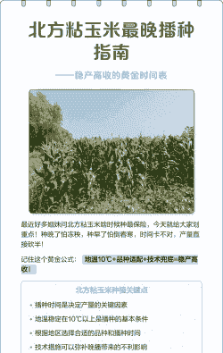 黏玉米种植时间即方法