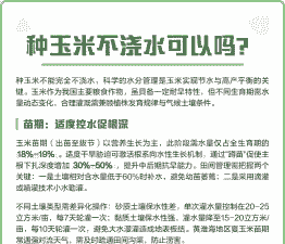 玉米种植需要经常浇水吗