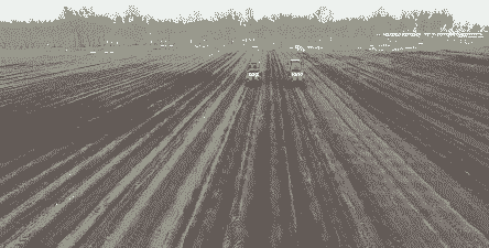 肇源万亩玉米种植面积