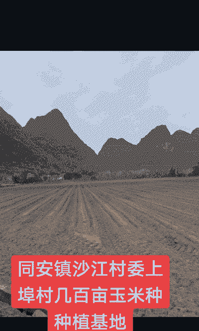 同安玉米种植地点有哪些
