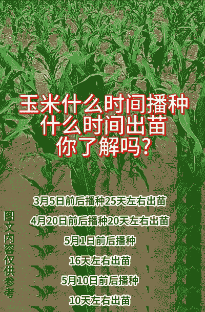 在我国何时有玉米种植