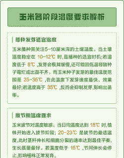 玉米种植方法及温度要求