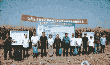 忻州玉米种植大户名单