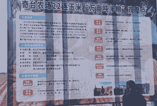 新疆玉米种植大户名单