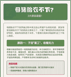 母猪产后几天胎衣不下